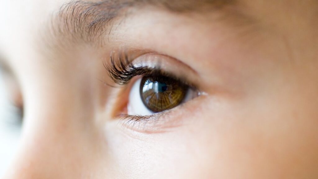 Myopia Management Needham MA